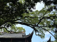 -阿育王寺