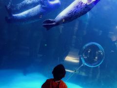 -波塞冬旅游度假区