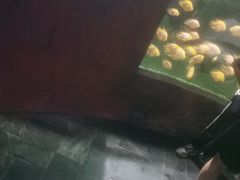 -苏州海洋馆