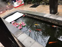 -融汇温泉