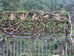 -苍山感通索道