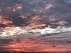 -演武大桥观景平台