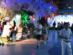 游乐设施-芜湖新华联大白鲸海洋公园