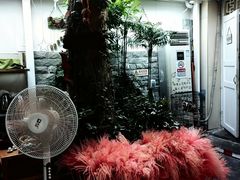 -丽江庭院之丽江往事(安定门店)
