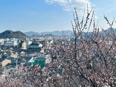 -台州府城(江南长城)