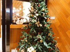 -森Some Fusion(荔湾店)