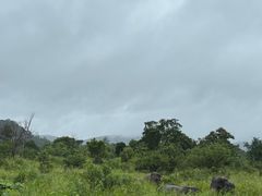 -米内日亚国家公园