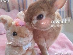 -东丽温泉羽毛球