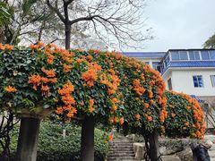 -鼓浪屿·皓月园