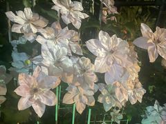 -龙湖重庆时代天街