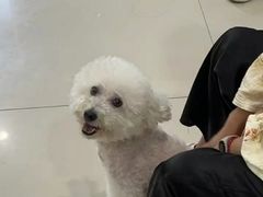 -思琪宠物医院(昆山花桥店)