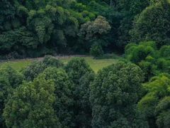 -成都蒲江花样年福朋喜来登度假酒店·宜客乐西餐厅