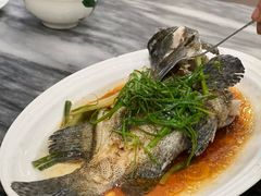 清蒸躉仔-华峰食馆(氹仔店)