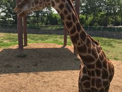 -石家庄市动物园