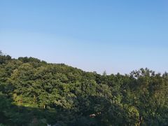 -南京东郊国宾馆