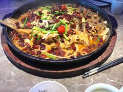 -老板恋上鱼(恒隆广场店)