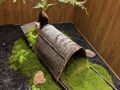 -7017浙菜•建德味(中财店)