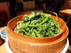 渣渣蒿-苦尽酒馆·川菜(鼓楼店)