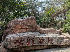 -铁山坪森林公园