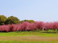 -苏州湾体育公园