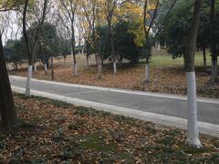 -蠡湖大桥公园