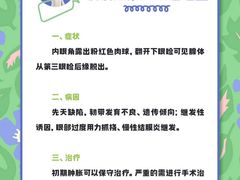-瑞派天使宠物医院·神经外科·骨科·核磁CT(洛川中路店)