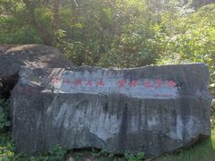 -美人松苑