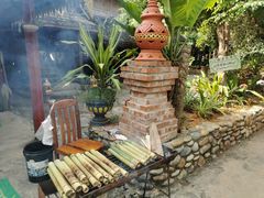 -西双版纳傣族园