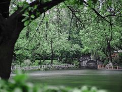 -青龙山国家森林公园