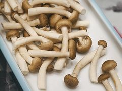 -名都晓荷塘主题火锅(春光路店)