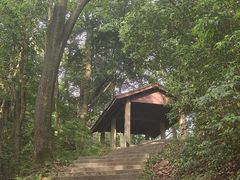 -西湖风景区十里琅珰-五云山