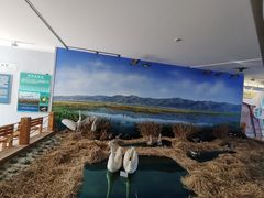 -延庆地质公园博物馆