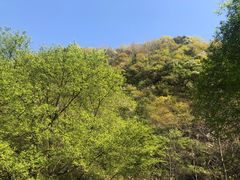 -悦屋老板娘的烤肉店(紫薇田园店)