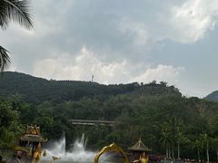 -西双版纳原始森林公园