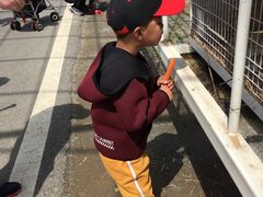 -大连铭湖国际观光牧场