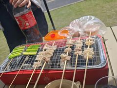 -春花秋色城市公园