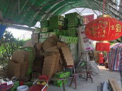 -马陆小张葡萄园农家乐