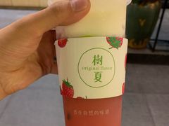 -树夏(金楠天街店)