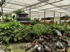 -南宫五洲植物乐园