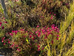 -回龙观体育文化公园