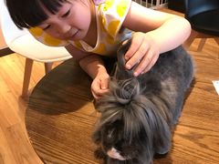 -藦茜花园宠物主题亲子互动体验馆(国顺东路店)