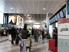 -米兰马尔彭萨国际机场