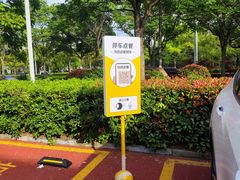 -麦当劳(友谊路得来速店)