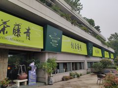 -青藤茶馆(南山路店)