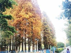 -广东外语外贸大学(白云山校区)