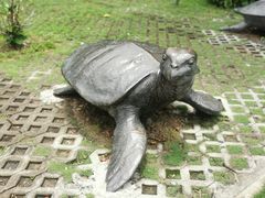 -广东惠东海龟国家级自然保护区