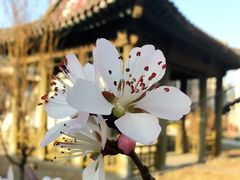 -华为合作店(金陵西路)