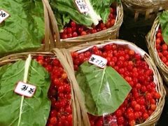 -菜园坝水果市场