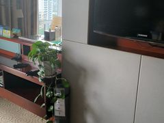 -南桥绿地铂骊酒店