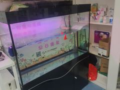 -特一安24小时宠物医院·骨科·中兽医